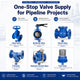 Rising Stem Resilient Seated Flanged Gate Valve-4