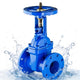 Rising Stem Resilient Seated Flanged Gate Valve-1