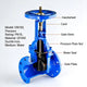 Rising Stem Resilient Seated Flanged Gate Valve-3