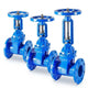 Rising Stem Resilient Seated Flanged Gate Valve-5
